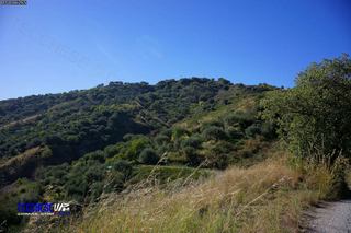 stello Calatabiano-12-03-2014 20-07-52